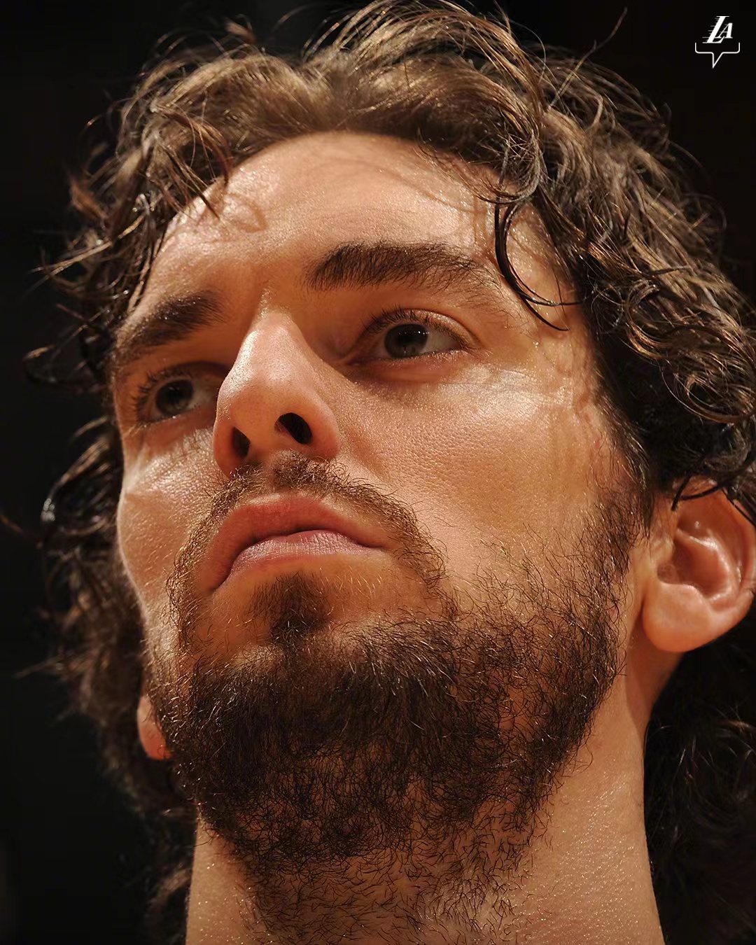 Glory forever, Gasol optaget i Hall of Fame
